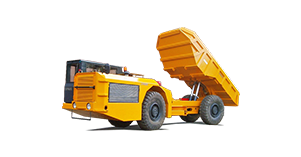 Paus PMK-T 10010