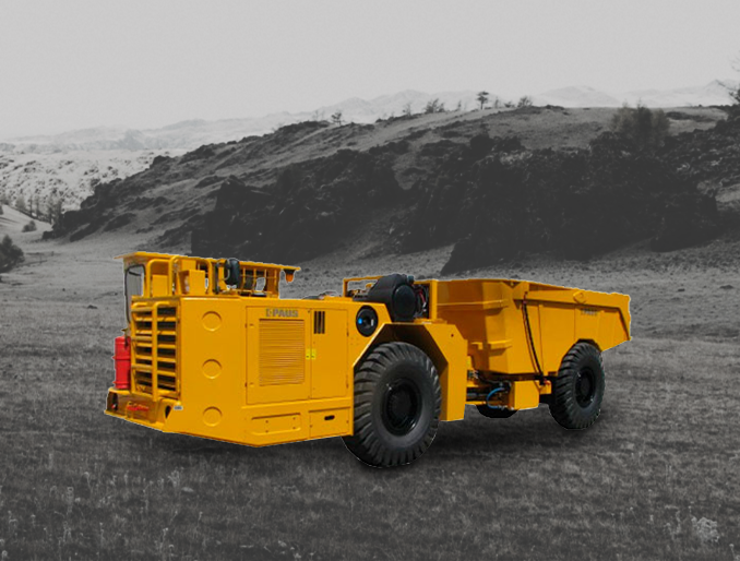 Paus PMK-M 8010